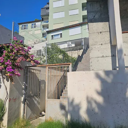 Dori's Vollga By Bohem * Durrës