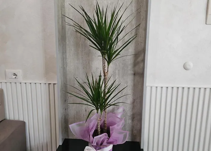 Apartment Dori's Vollga By Bohem *